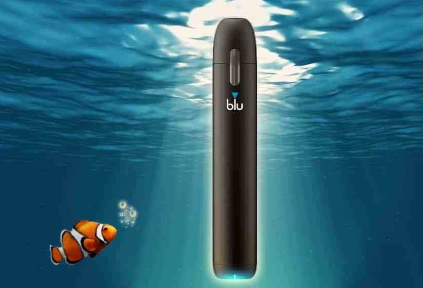 cropped-MY-BLU-6.jpg